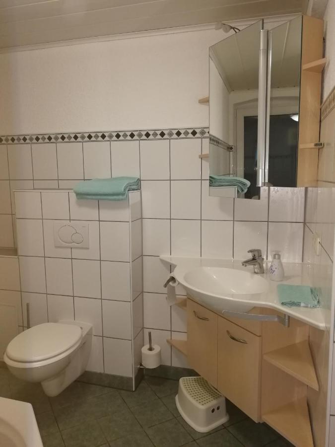 Ferienwohnung Simmert Kurort Gohrisch Eksteriør billede