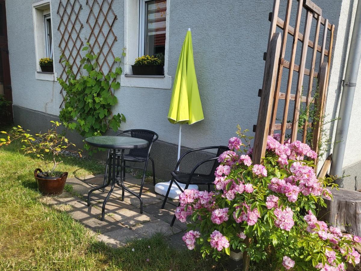 Ferienwohnung Simmert Kurort Gohrisch Eksteriør billede